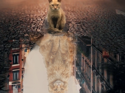 Poster-ads-new