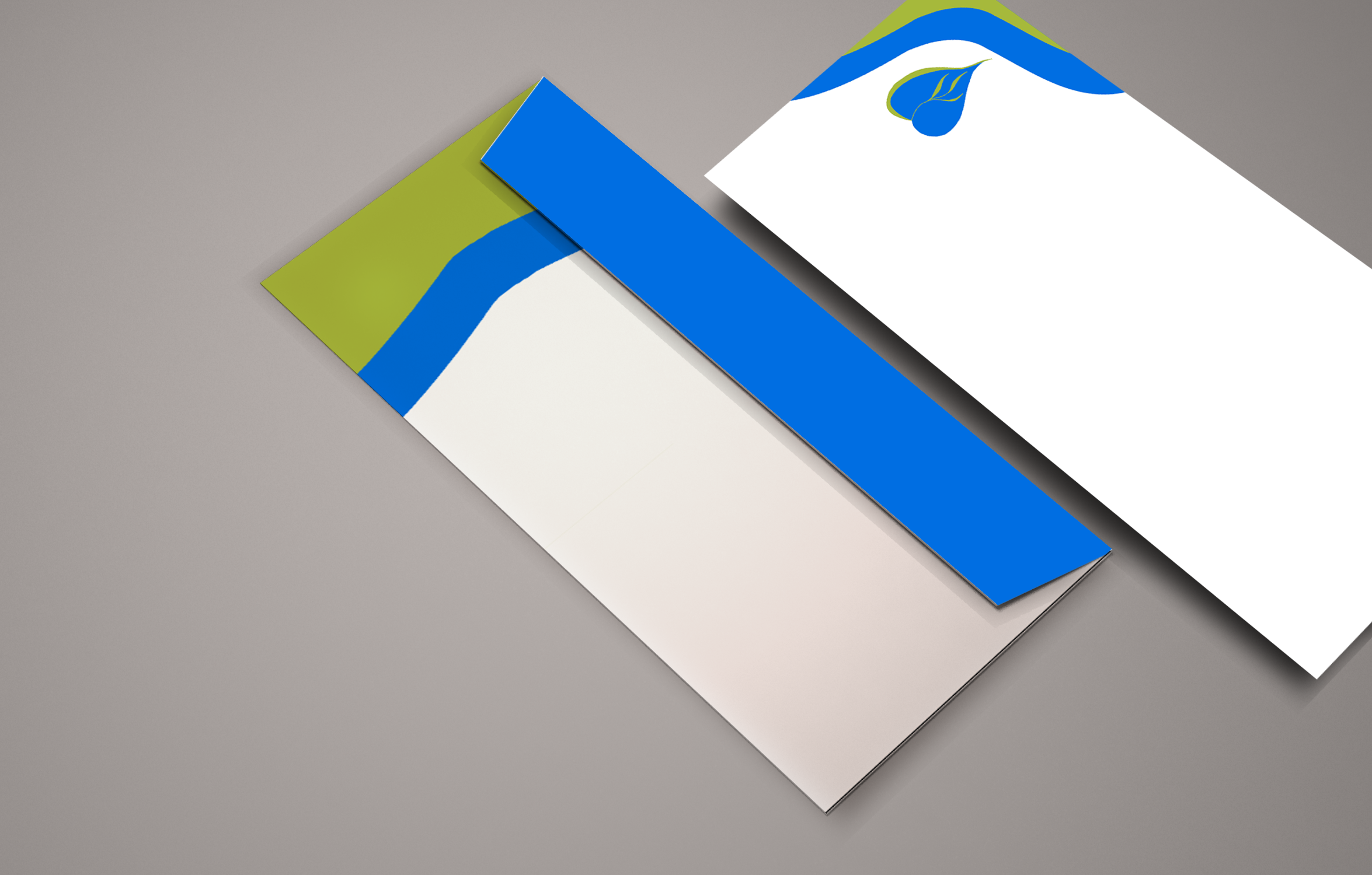 biosinar mockup envolope