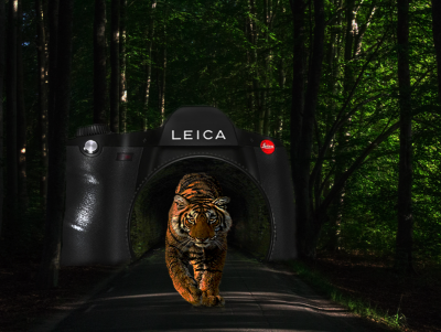 Photo Manipulation