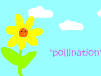 Simple Animation Video