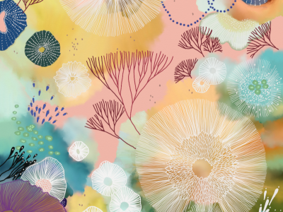 Done-shell-(1)
