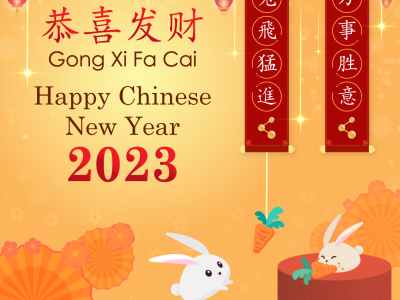 Chinese new year social media post image