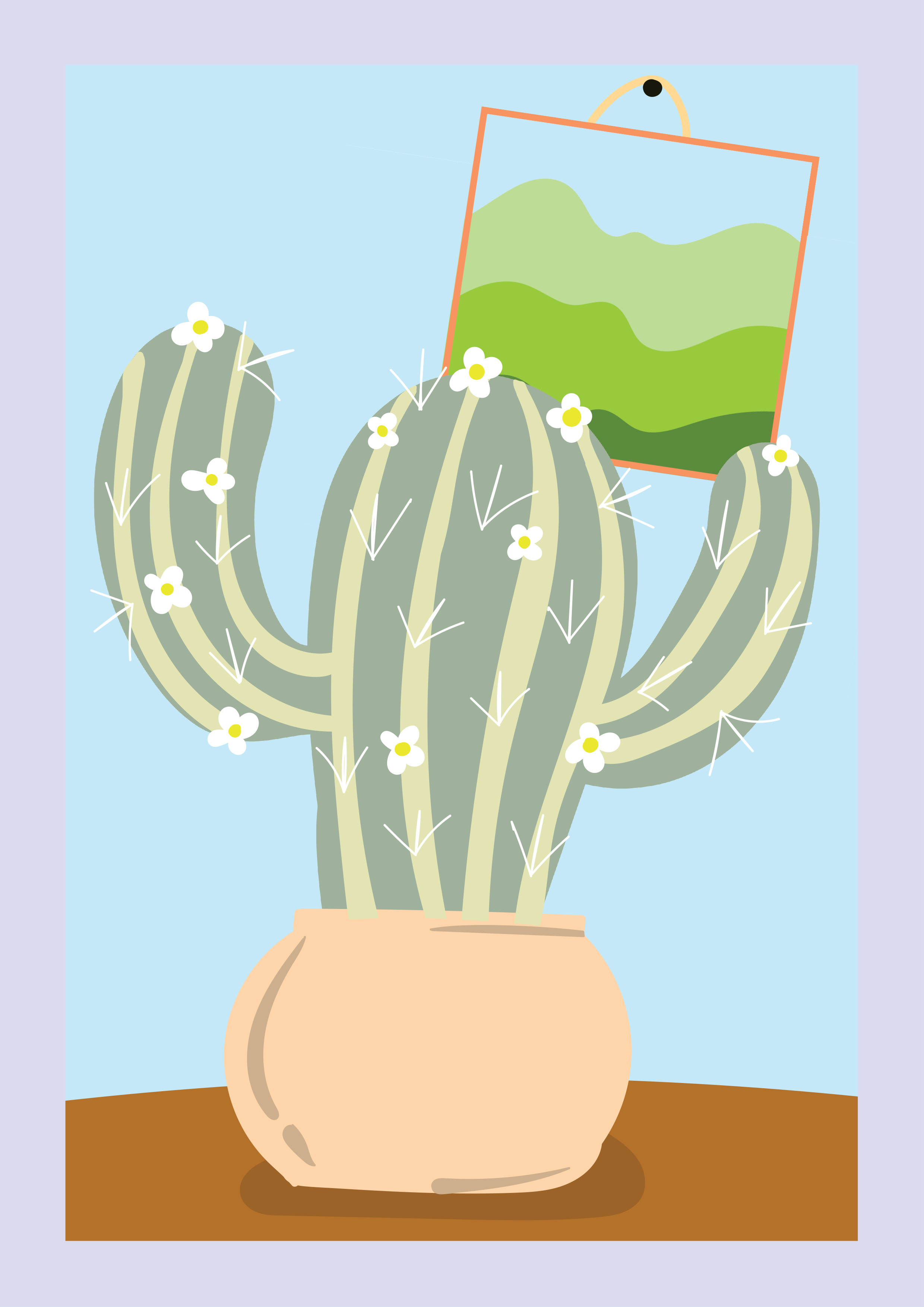 Cactus Illustration / Digital Art 