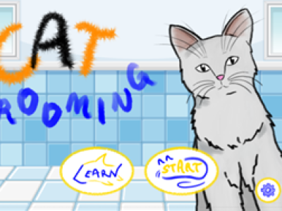 Game-Based Learning in Cat Grooming