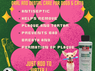 20a45d33-4df7-4ee2-95d7-69d01ceaefd7