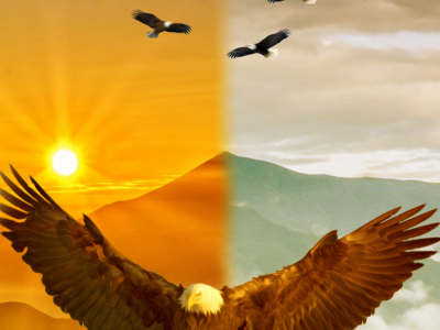 Eagle-a3