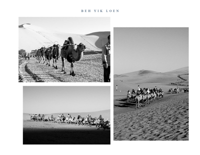 Untitled Artwork 2022-06-27