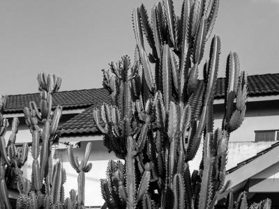 20190901_173211-(1)