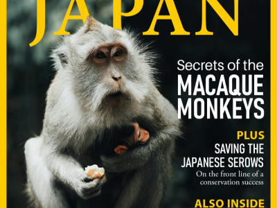 Magazine-cover