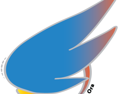 Logo-pp2