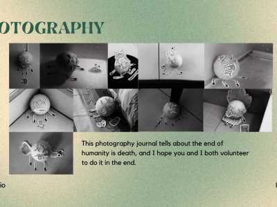 Portfolio