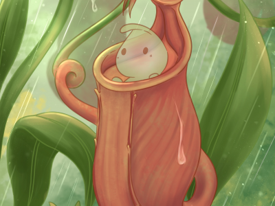 Nepenthes Elf