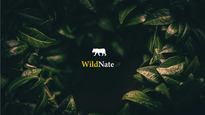 Untitled Artwork 2022-04-27