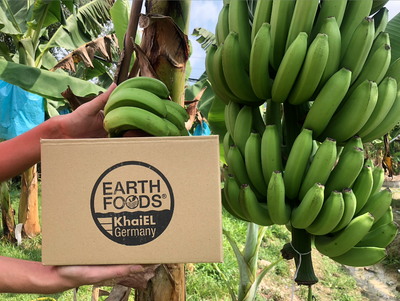 Untitled Artwork 2022-06-29