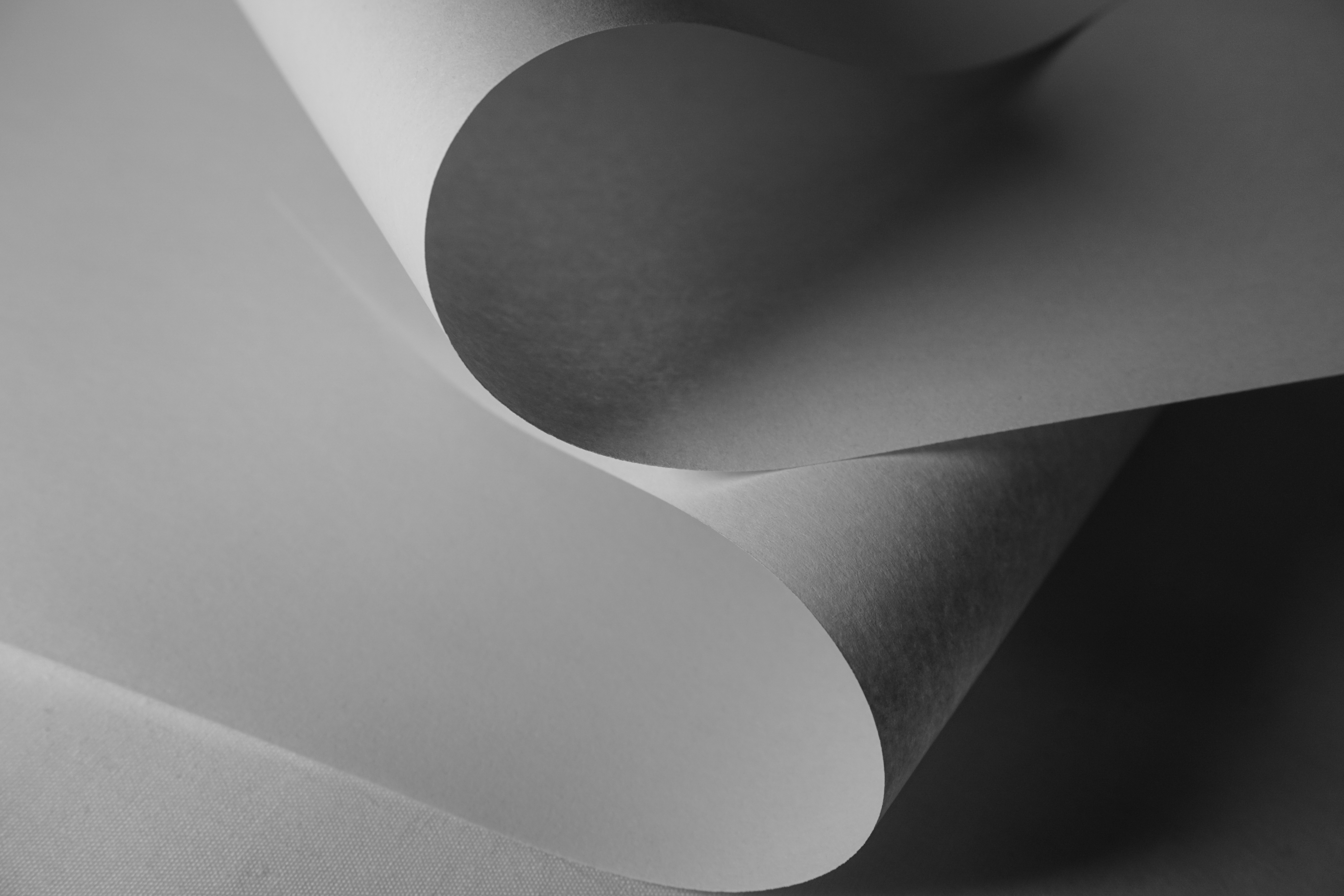 Still-life Photography 