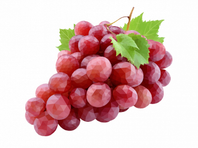 Digital Grape Art