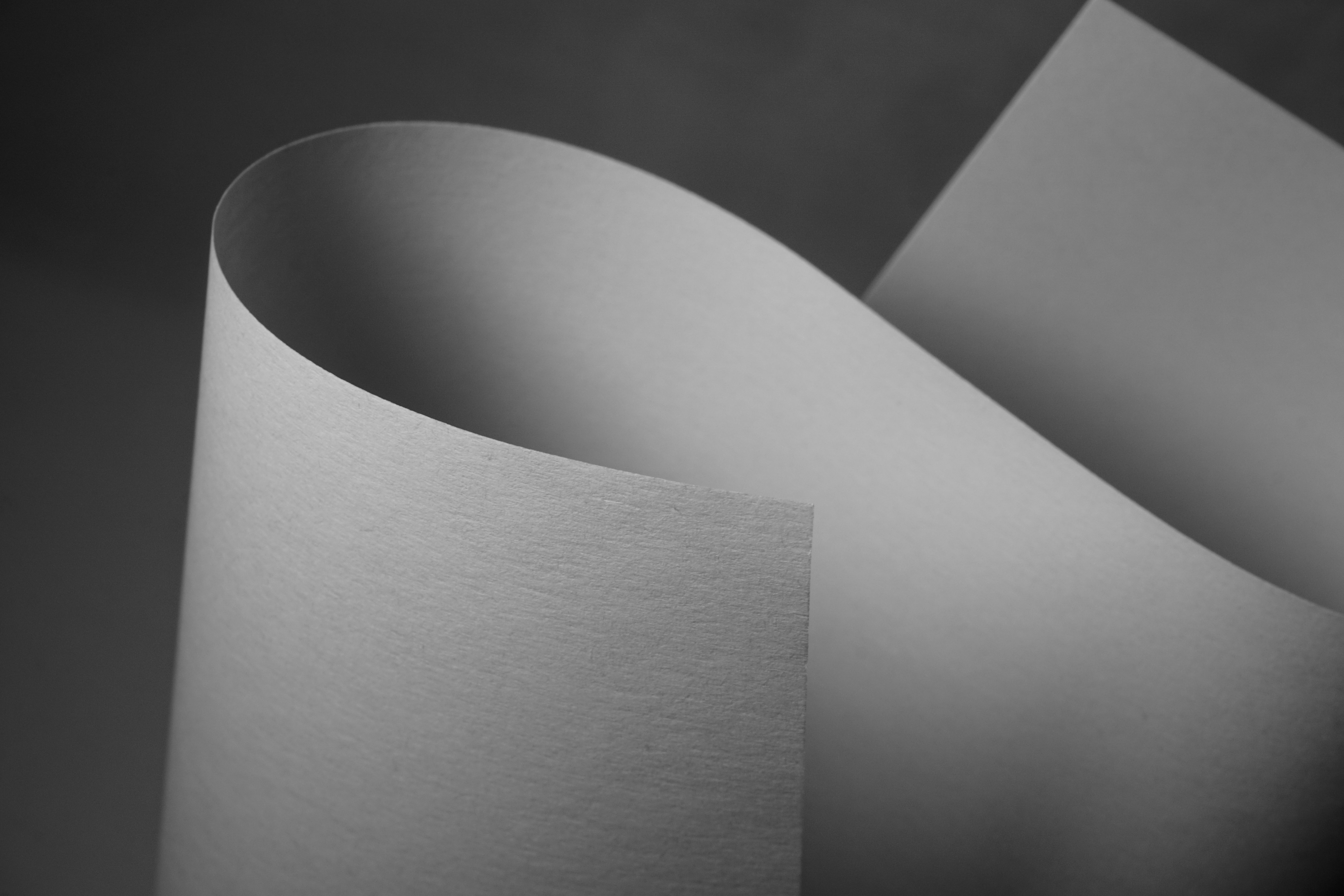 Still-life Photography 