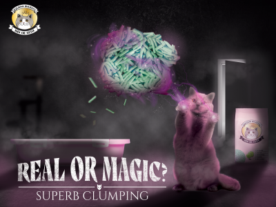 Banner Izzlisha Majesty - Real Or Magic