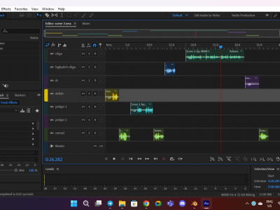 Audio Editing for Final Year Project