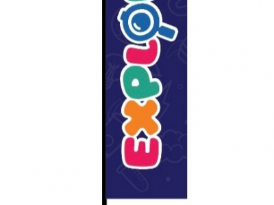 Beach flag