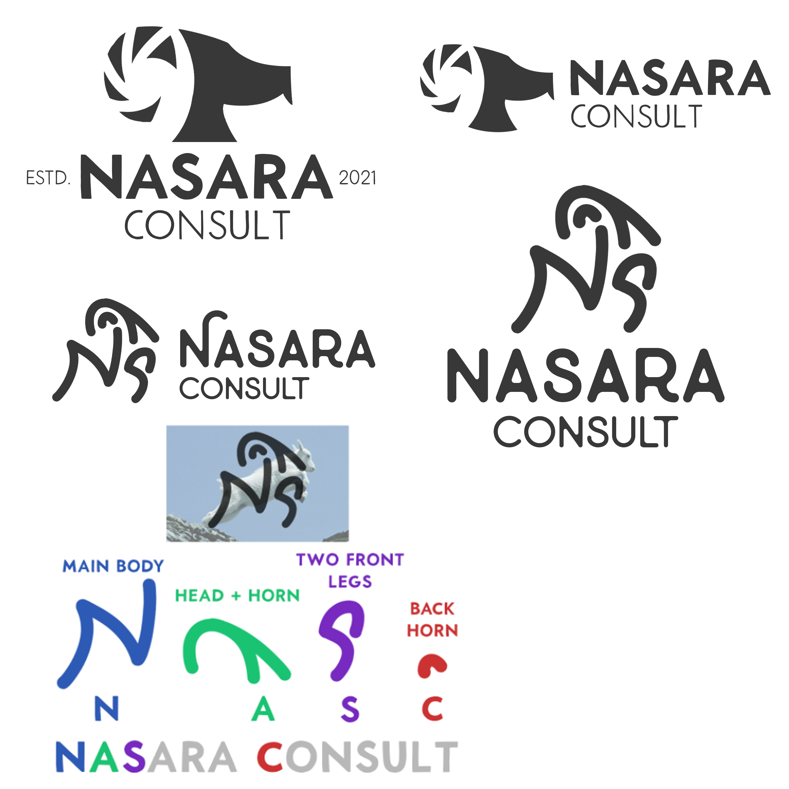 Nasara Consult different concepts and ideas