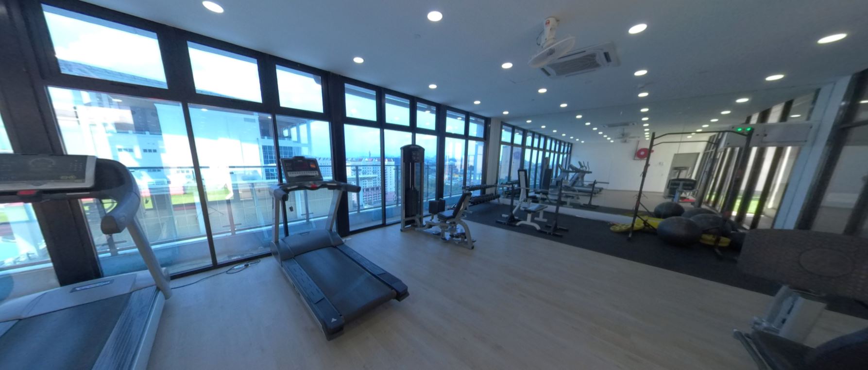 management & science university msu gym