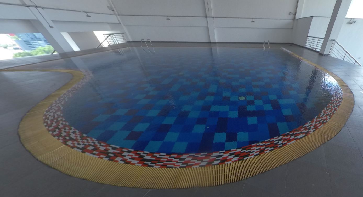 management & science university msu swimming pool