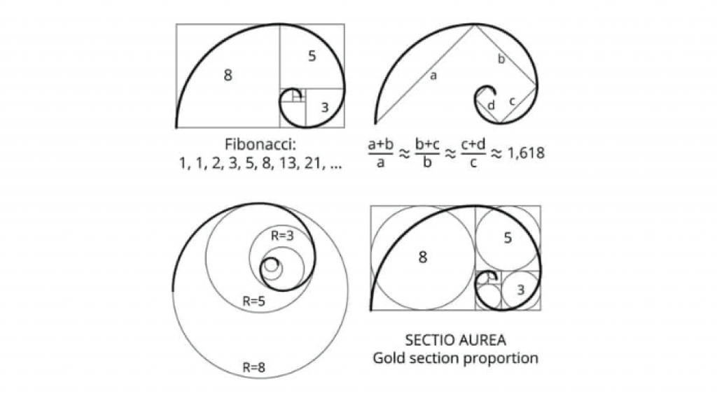 golden-ratio-02