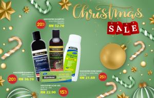 Christmas-Theme-Mailer-Ad.png