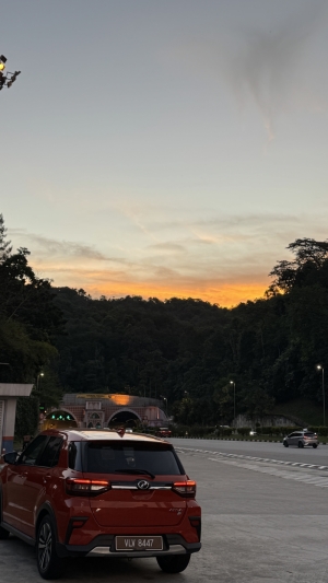 IMG_8808.jpeg
