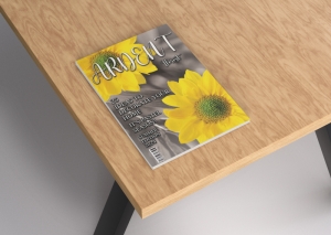 FINAL-MAGAZINE-MOCKUP.jpg