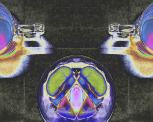 523EA43E-1992-4585-A63F-F0F56C8D6EF7.jpeg