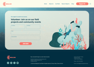 All-Website2.png