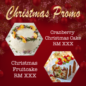 CHRISTMAS PROMO 2-01.png