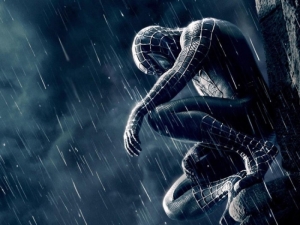 medium-spiderman-wallpaper-on-hd-wall-fine-art-hd-picture-original-imah3bzzrrztxgft.jpeg