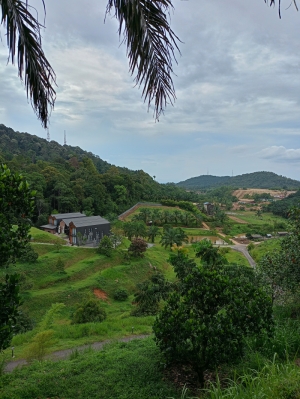 IMG20240601151914.jpg