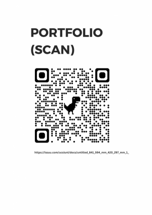 portfolio-(scan)-issue-link.jpg