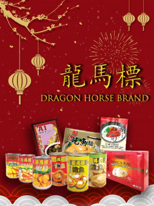 dragonhorse-ads-design.jpg