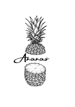 logo-pineapple-01.jpg